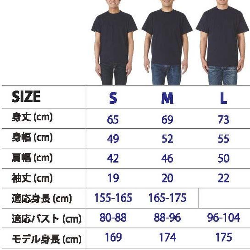 全国名山安全登山ｔシャツ メンズ ユキヨシ衣料 楽しいｔシャツを安価で オリジナルｔシャツ