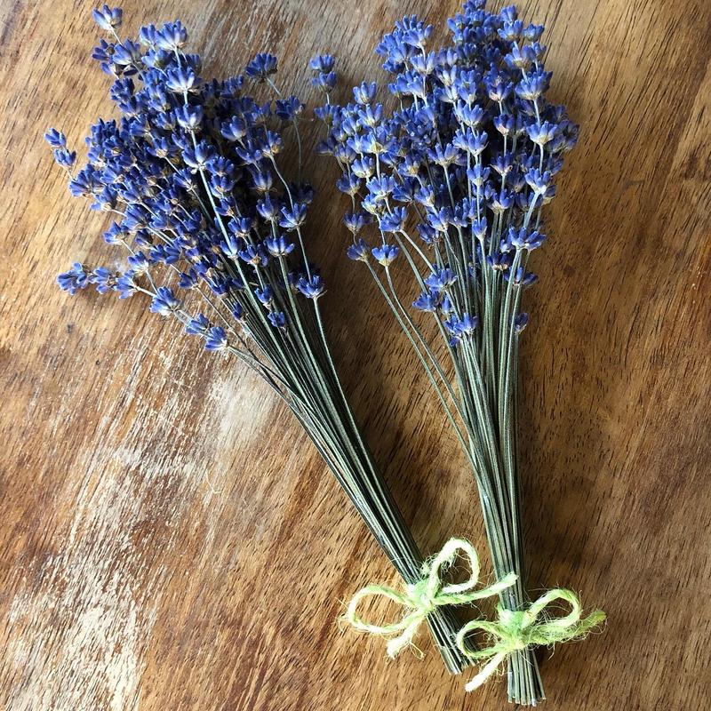 ドライフラワー ラベンダー Blog Quillhotels Com