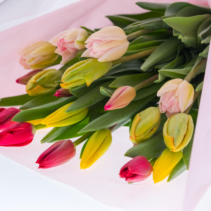 チューリップだけの贅沢な花束 本入り 農家直送チューリップ よねだ農園