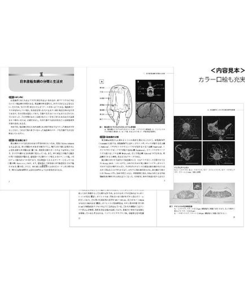 クラゲ類の生態学的研究 生物研究社の本