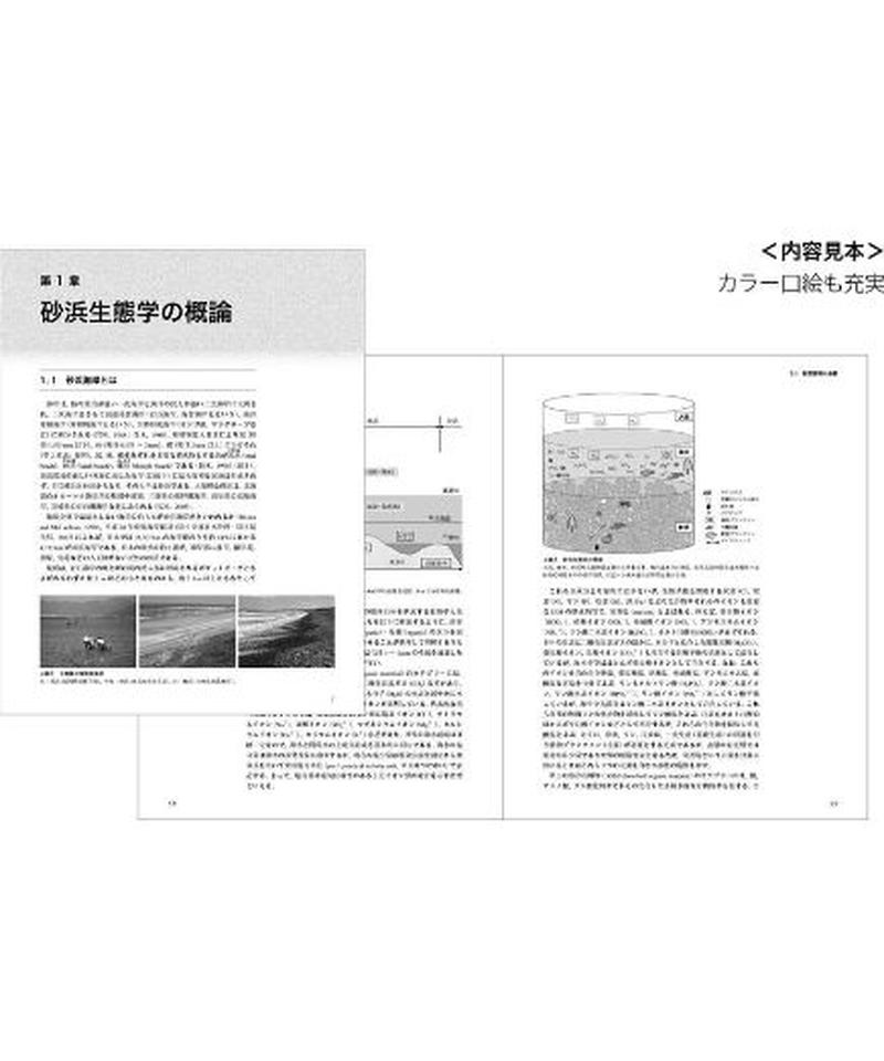 砂浜海岸の自然と保全 生物研究社の本