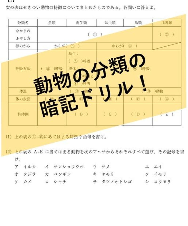 Pdf せきつい 無せきつい動物 進化の暗記ドリル 中学理科ポイントまとめと整理 オンラ