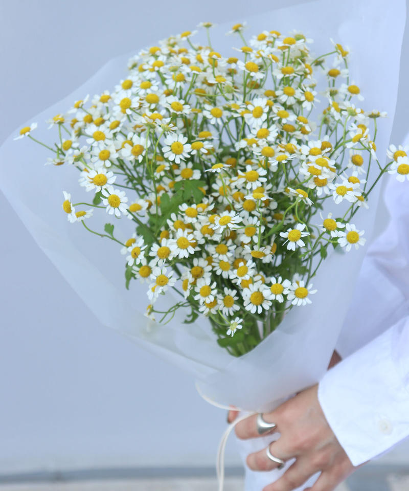 マトリカリアのシングルブーケ Summerflower22 Floydesign On