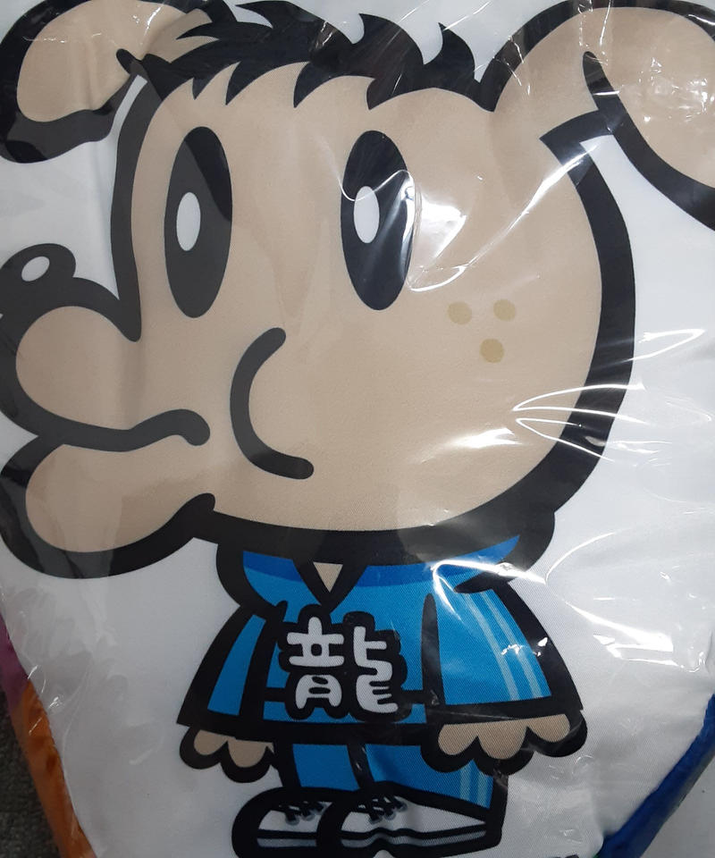 Generations 片寄涼太さん ジェネ犬 クッション K Books K Pop