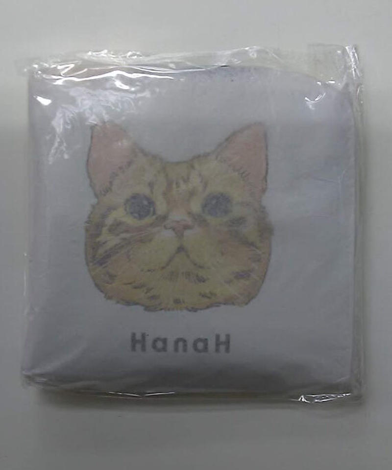 未開封 花江夏樹 Hanah Konpei Mini Wallet White K Bo