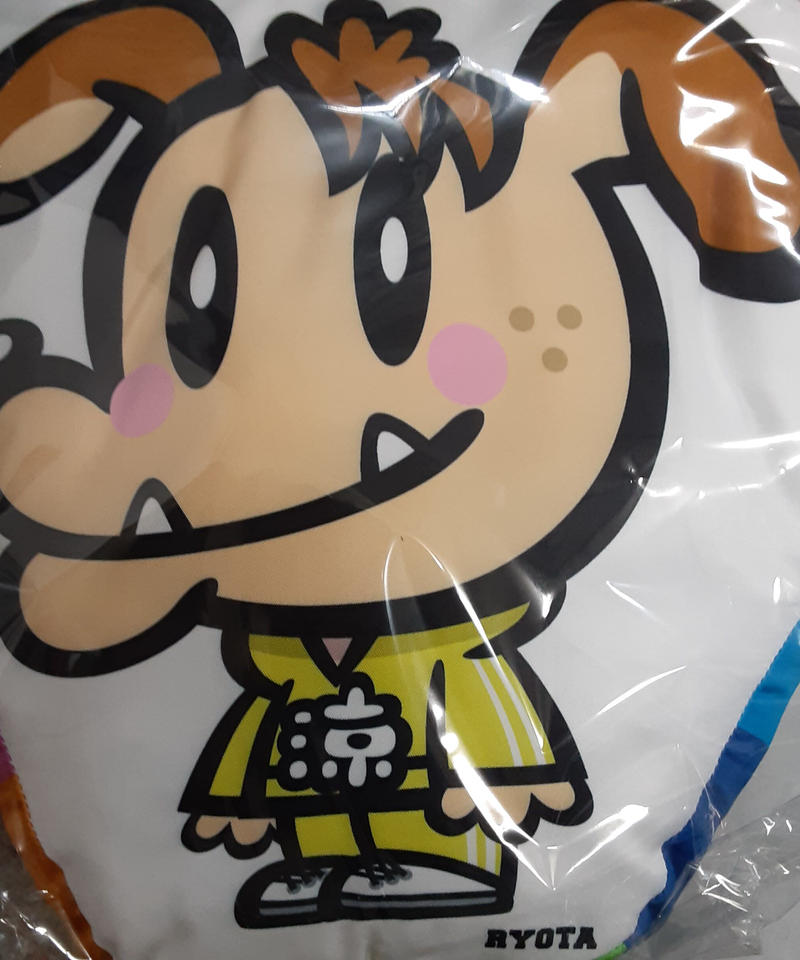 Generations 片寄涼太さん ジェネ犬 クッション K Books K Pop