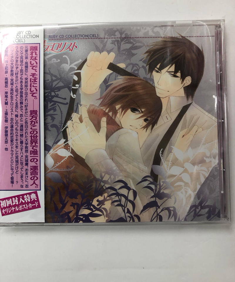 純情テロリスト 中村春菊 Cd K Books K Pop館 芸能館 動画館 キャス
