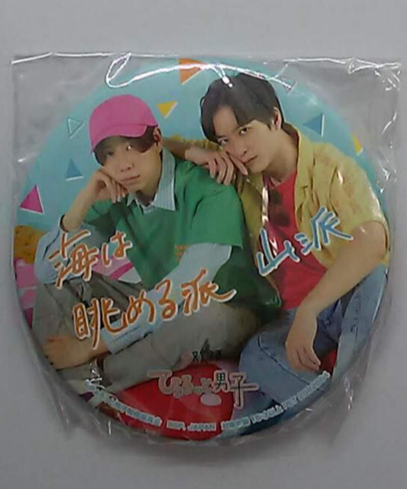 ひょろっと男子 夏色男子 西山宏太朗 梅原裕一郎 2ショット 缶バッジ K Boo