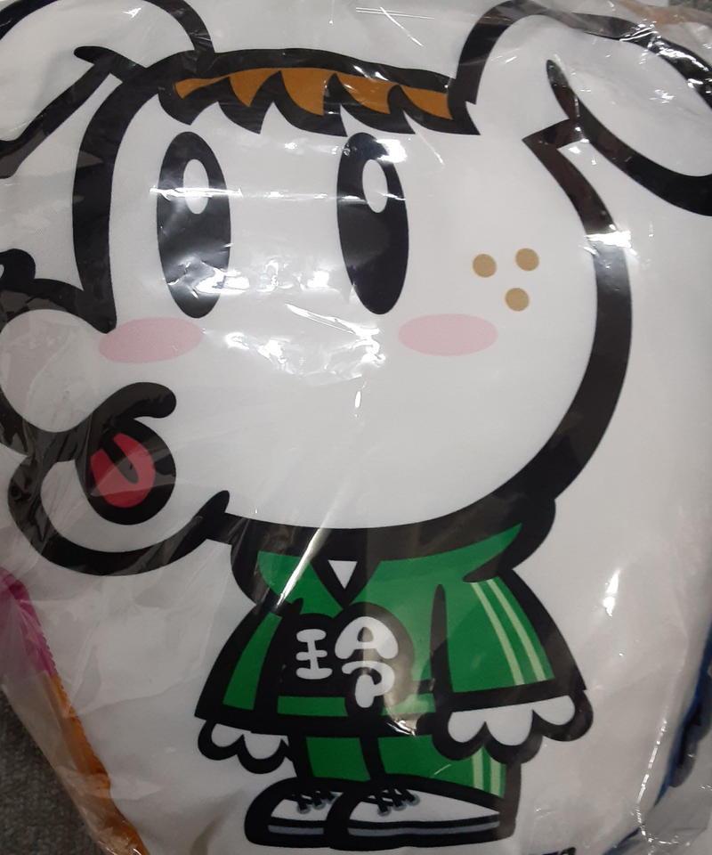 Generations 佐野玲於さん ジェネ犬 クッション 汚れ有り K Book