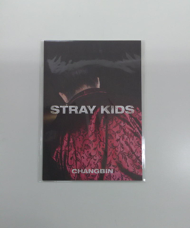 StrayKids 『IN生 (IN LIFE) 』 ミニフォトブック チャンビン | K-B