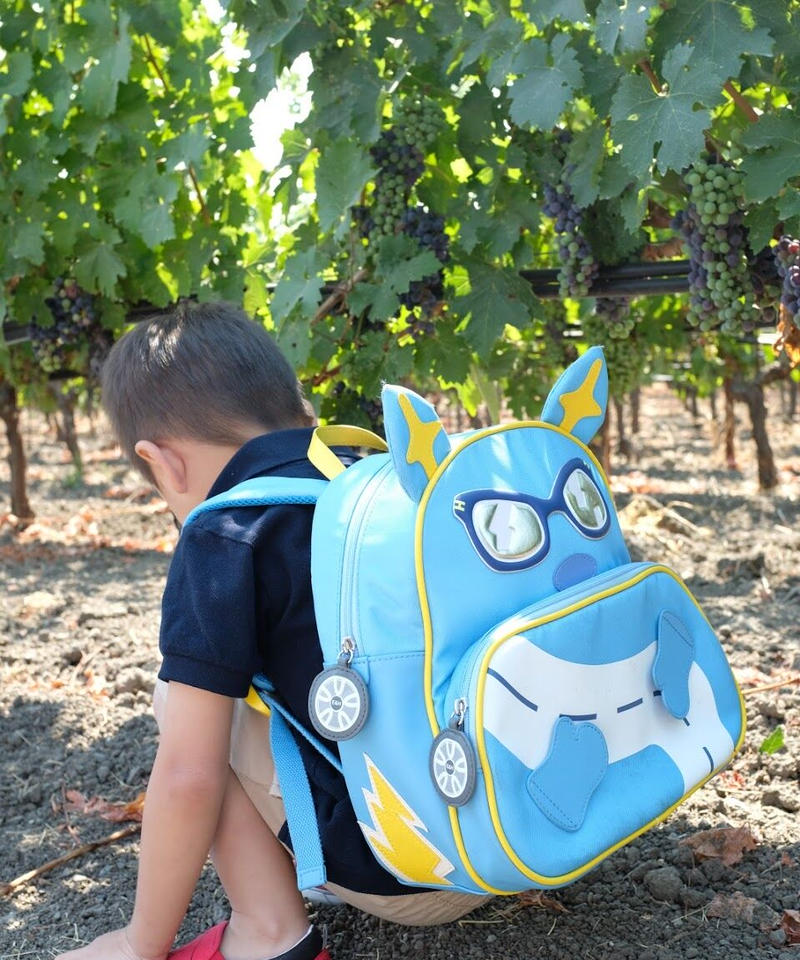 男の子が喜ぶ最適なバックパックです 人気の入園祝いプレゼント Elie Hiro