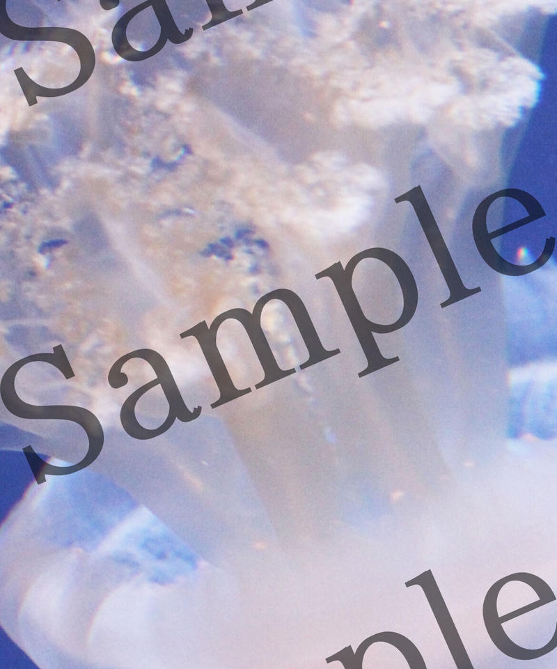 恋愛待ち受け 海月 恋愛お守り寫眞館