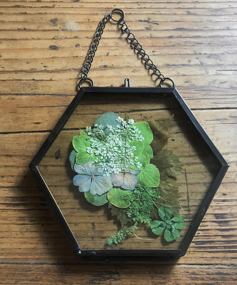 押し花額縁 5663 ピンク ガラス寸法368 6mm L37額サイズ