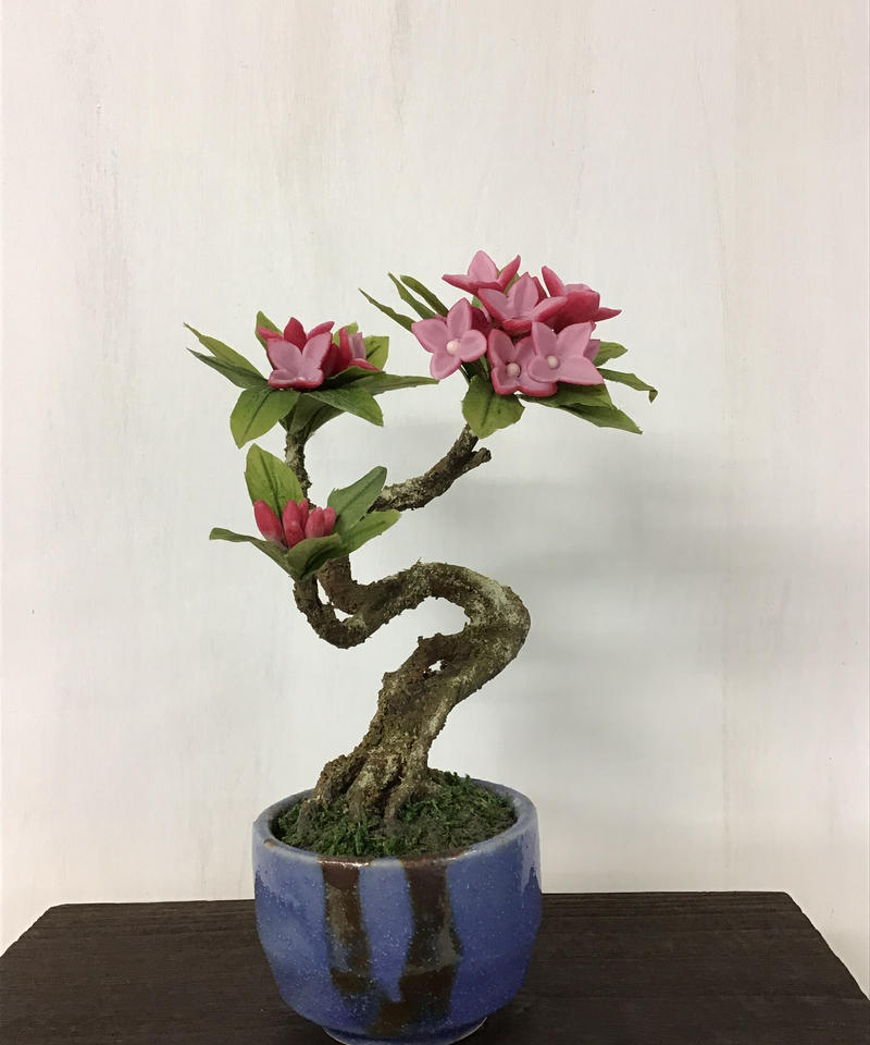 沈丁花 クラフト盆栽美術館