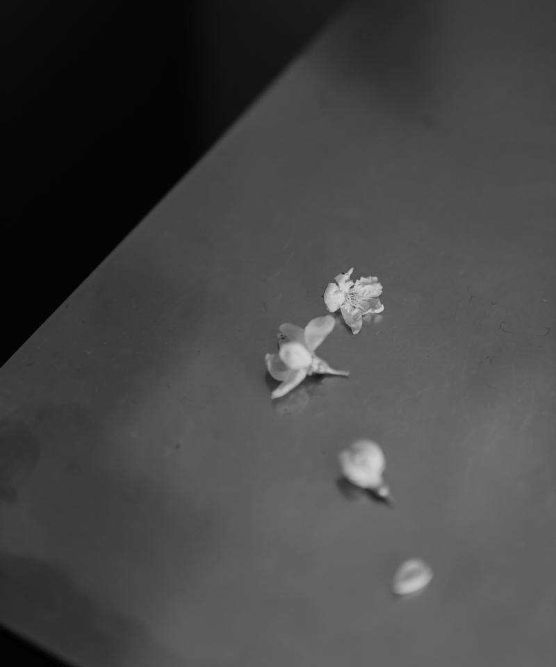 最大91%OFFクーポン iconology 花を着るブラウス#04-lightgray