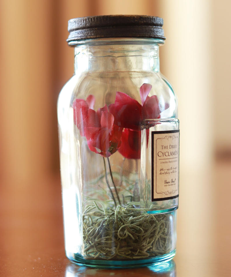 スペイン製 ガーデンシクラメンのドライフラワーボトル ルミエールドライフラワー Hana