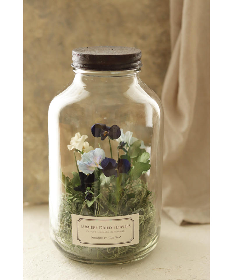 限定１個 アンティーク調 ビオラのドライフラワーボトル ルミエールドライフラワー Anv