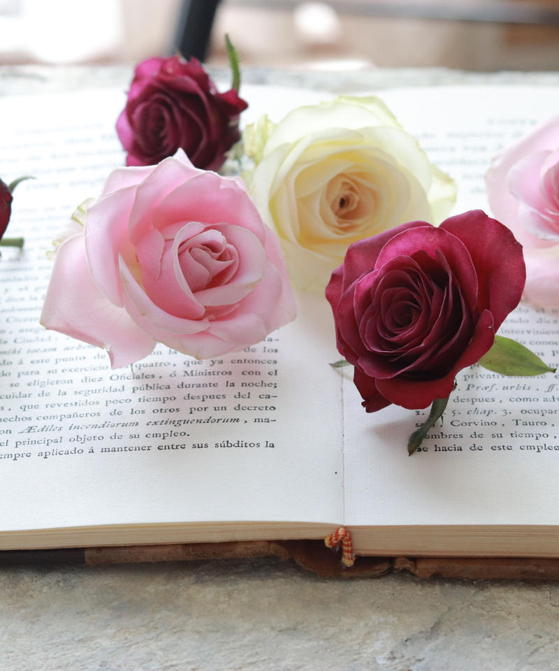 かんたん 綺麗 たくさん 生花そっくりに作る新しい乾燥法 ルミエールドライフラワー講座 プラチ