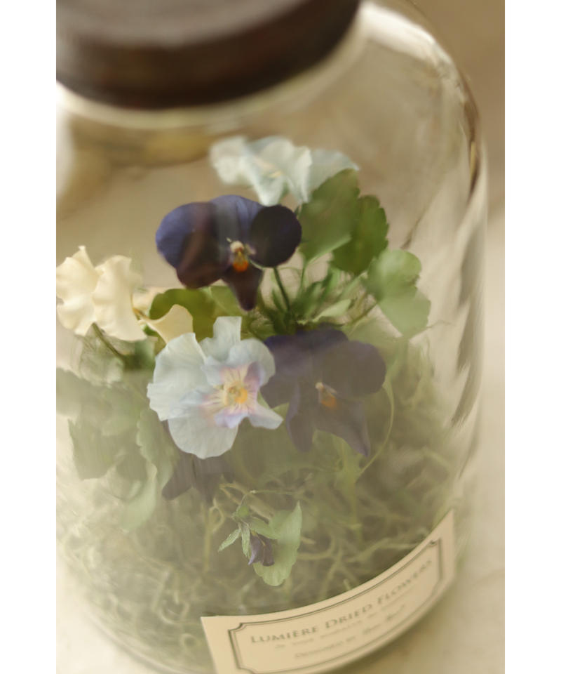 限定１個 アンティーク調 ビオラのドライフラワーボトル ルミエールドライフラワー Anv
