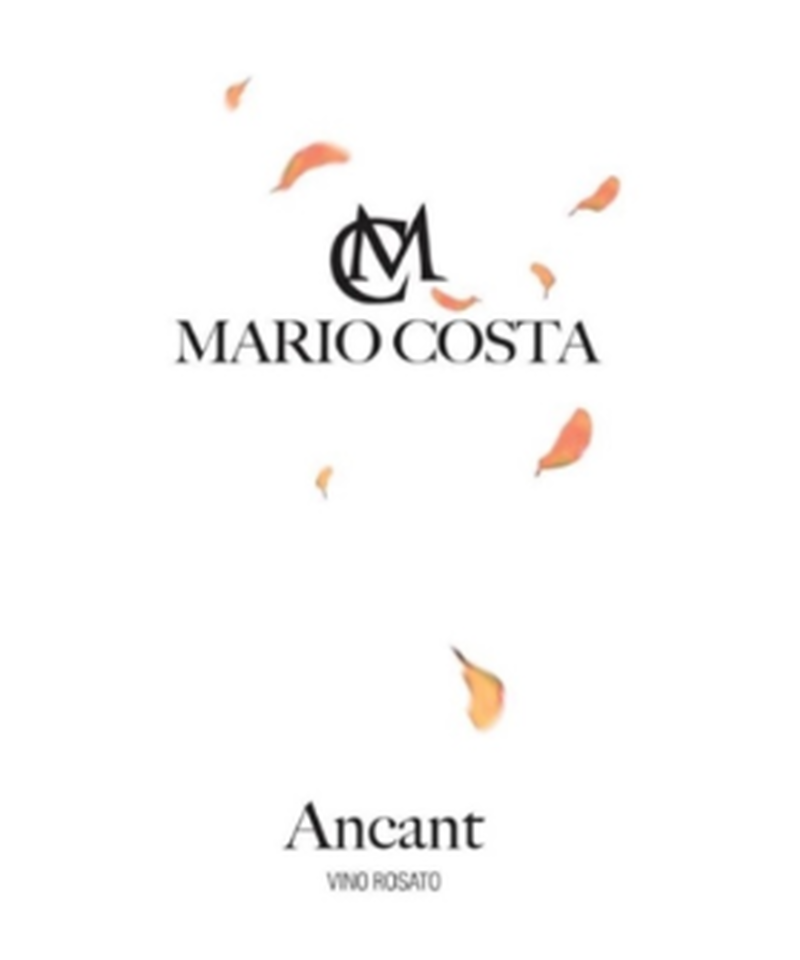アンカント19 マリオ コスタ Ancant Mario Costa Ott アンカント19 マリオ コスタ Ancant Mario Costa Ott