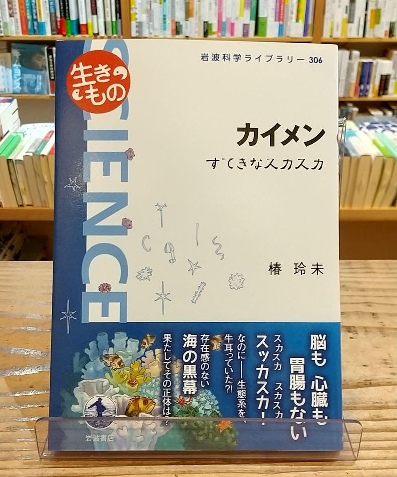 カイメン すてきなスカスカ 岩波科学ライブラリー Porvenirbookstore
