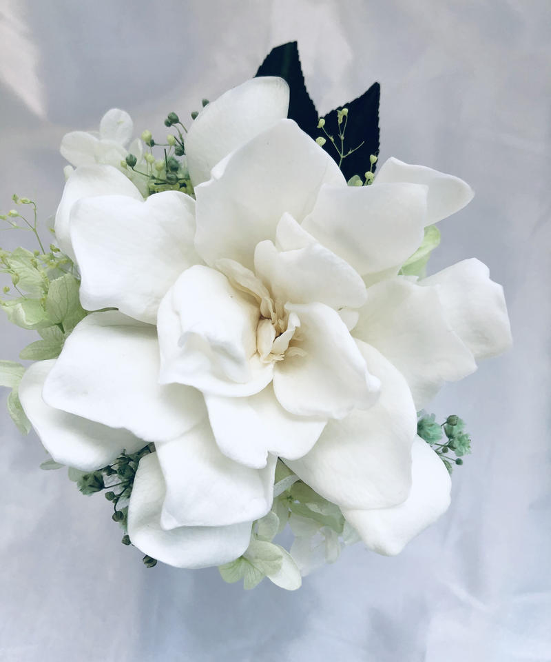 プリザーブドフラワー クチナシの花の白い輝き フラワーケースリボンラッピング付き 世都華