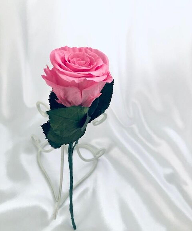 プリザーブドフラワー ピンクの薔薇のふんわり一輪ラッピング 世都華