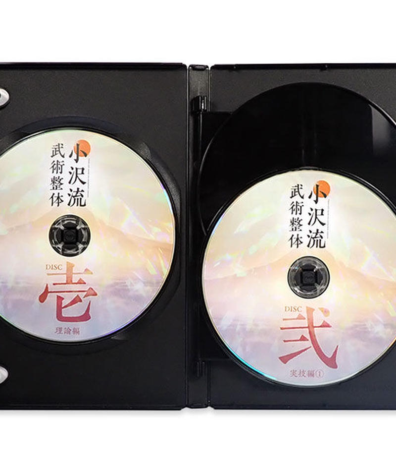 7/24.2○ DVD 小沢真太郎『小沢流武術整体』