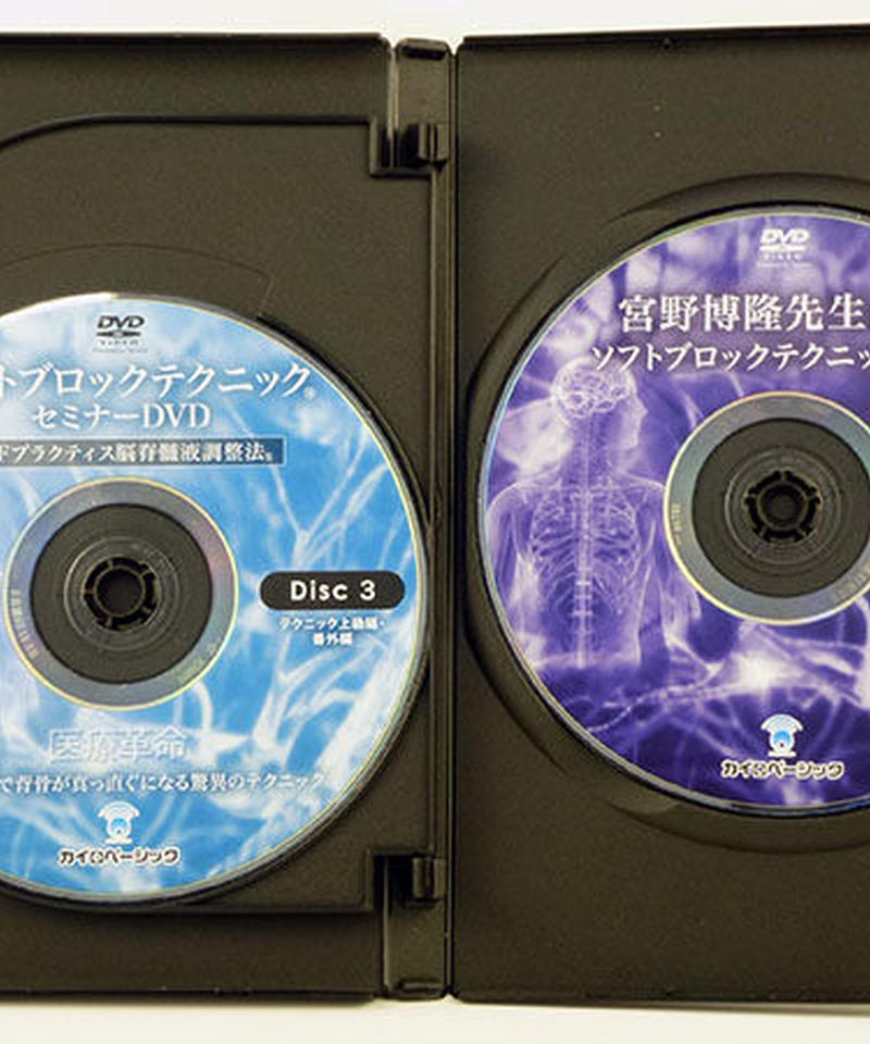 ソフトブロックテクニックセミナー DVD 宮野博隆 カイロベーシック ソフトブロックテクニックセミナー DVD 宮野博隆 カイロベーシック