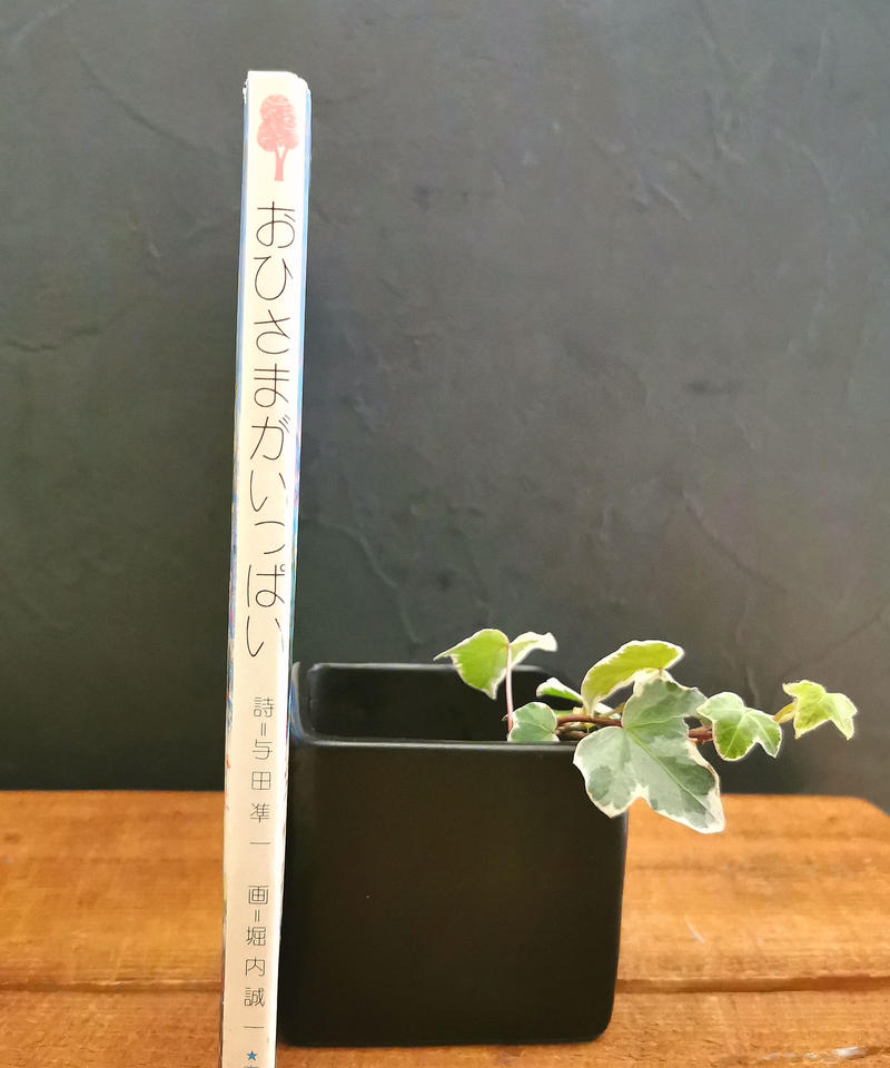 おひさまがいっぱい くらしと本のみせ スウス