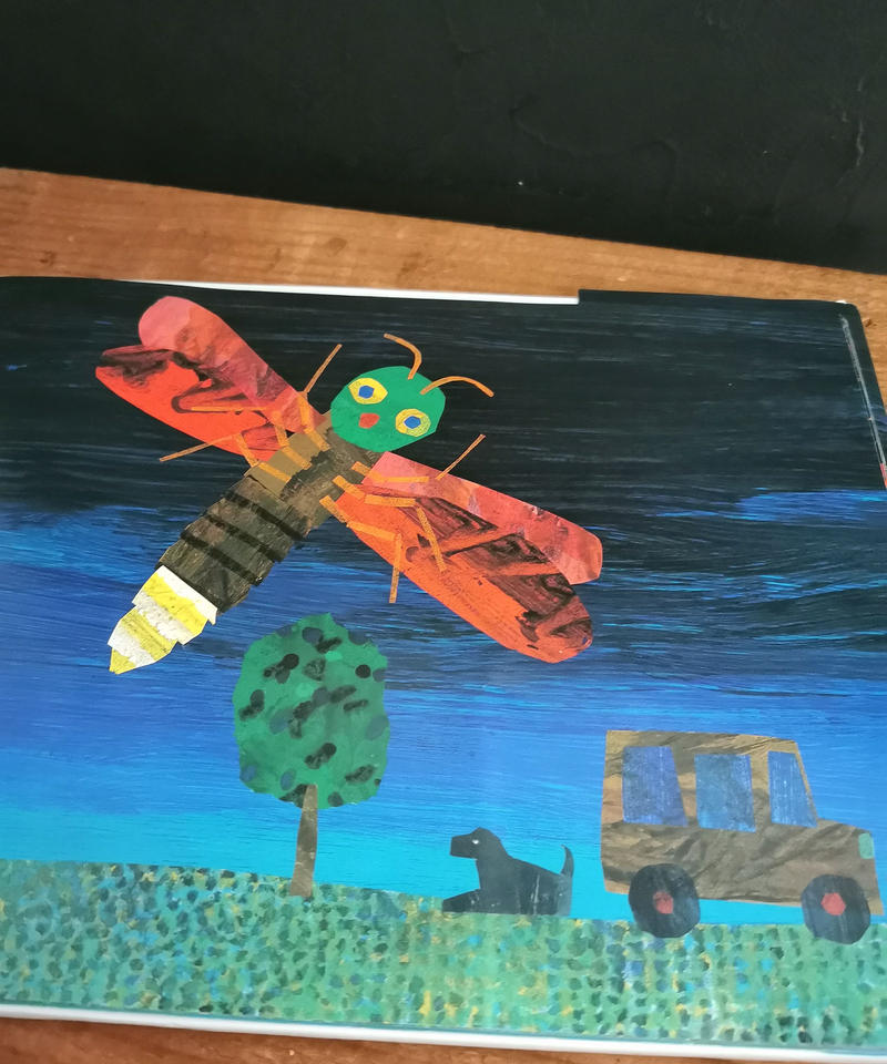 さびしがりやのほたる 光る絵本 くらしと本のみせ スウス