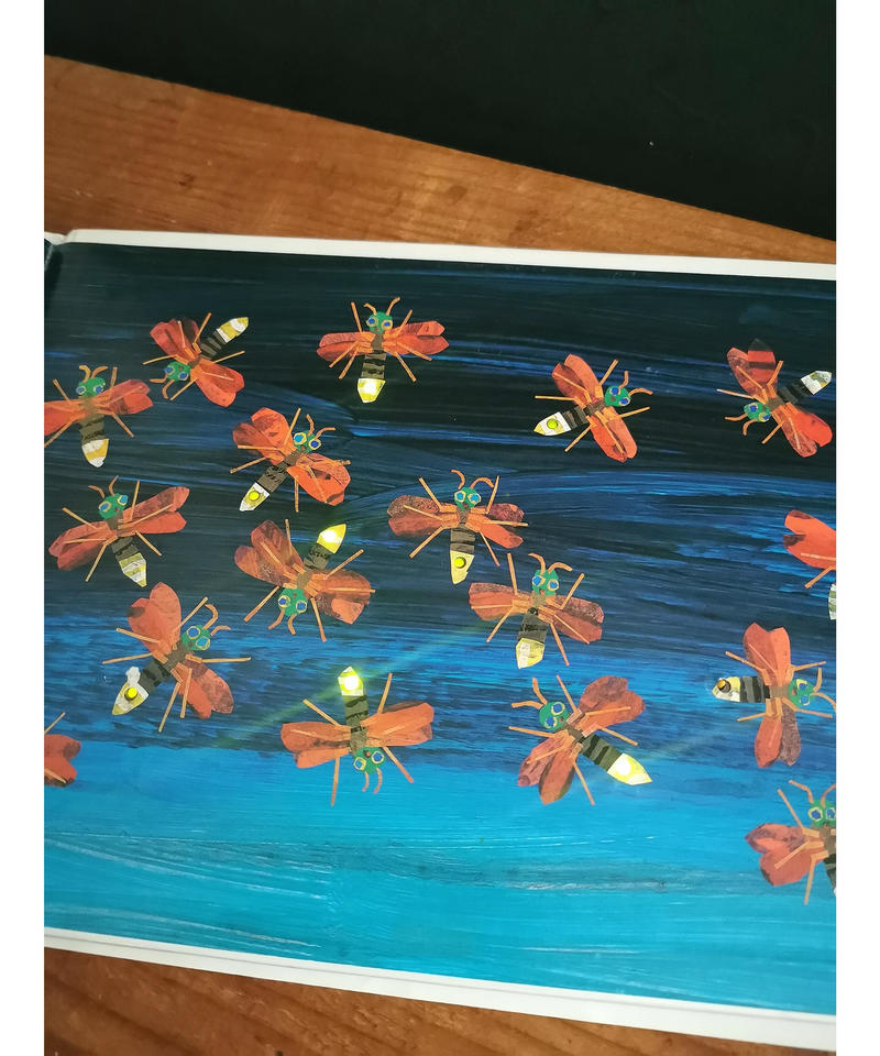 さびしがりやのほたる 光る絵本 くらしと本のみせ スウス