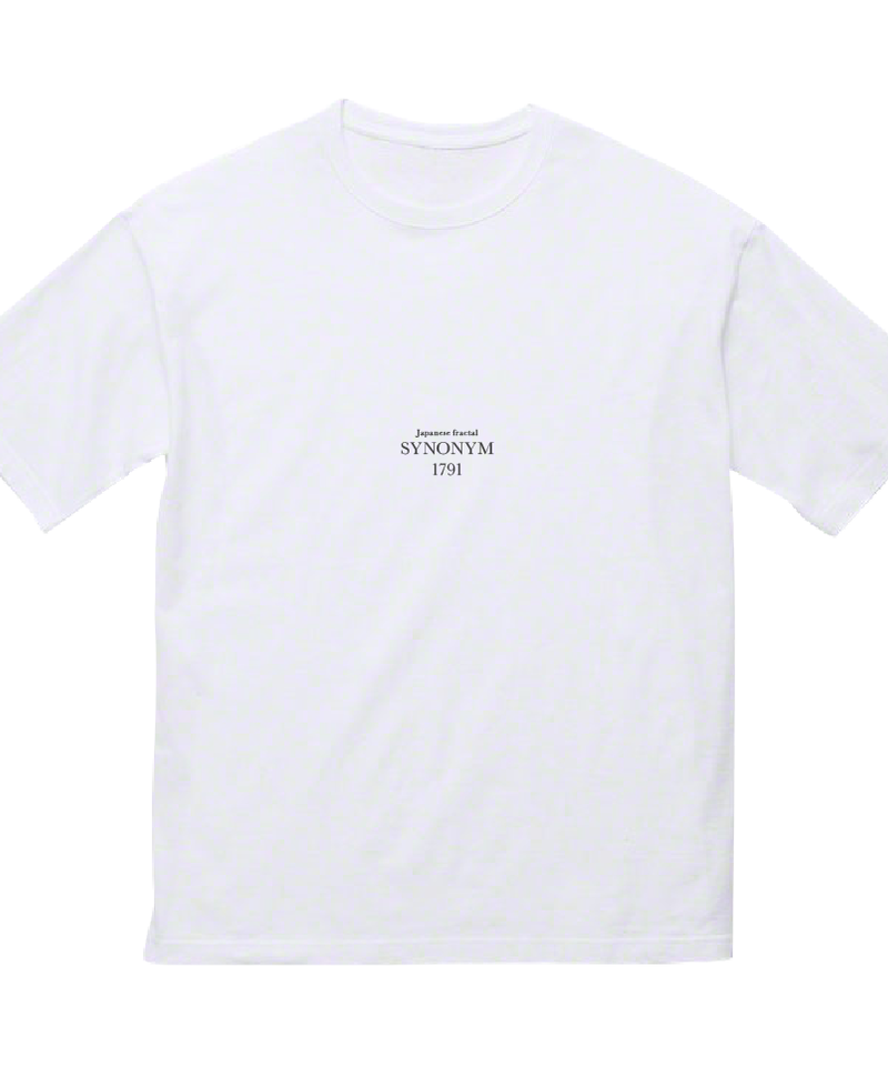 浪漫 和風 ビッグシルエットtシャツ 白 Back Style 京都の和柄ブラ