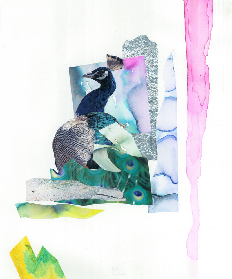 植物と音楽と Am T Roots