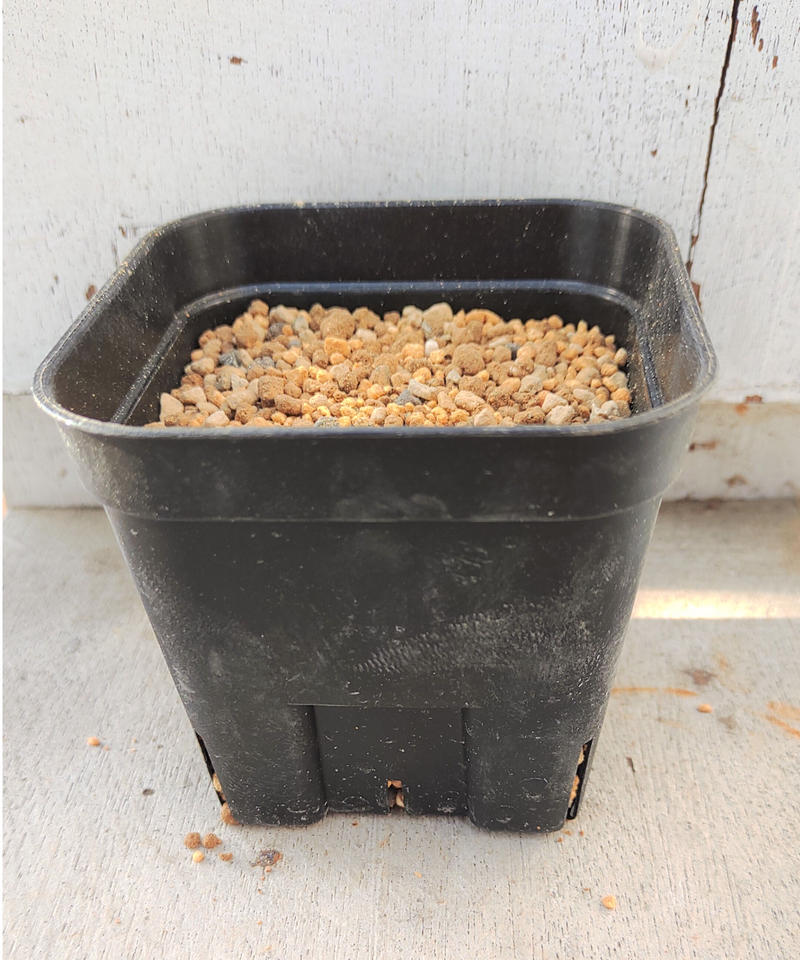 多肉植物の土 オリジナルブレンド 1l Toa Succulent