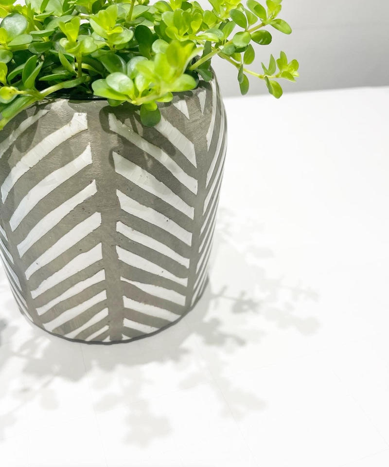 観葉植物 ペペロミア デピーナ Ethnic Pot 鉢カバー Too