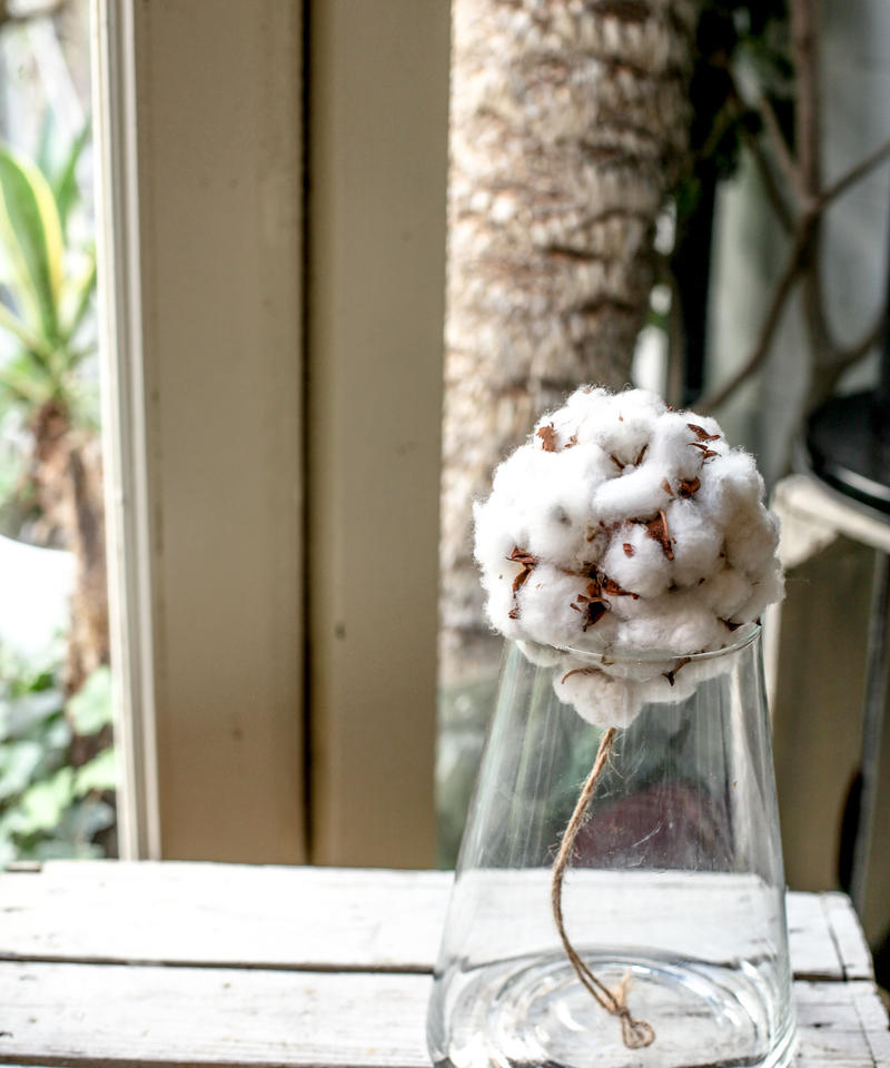 コットンボールとガラスの花瓶 Minimal Plants Store