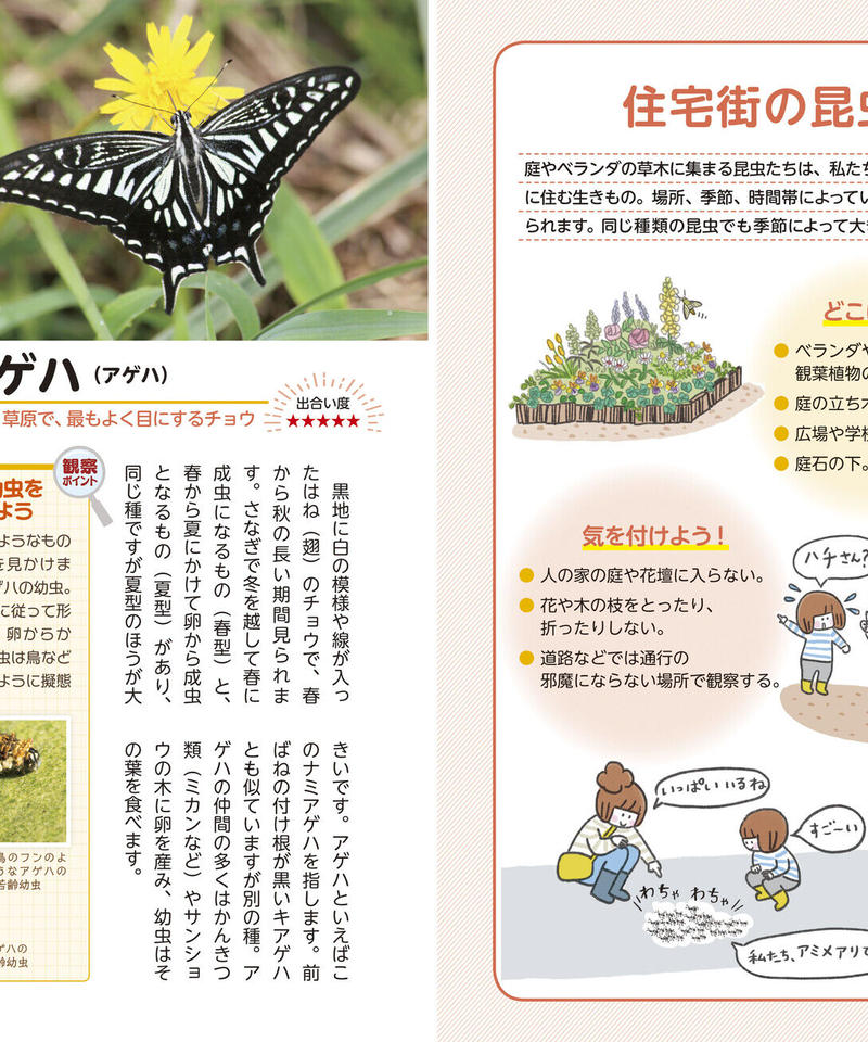 63%以上節約 子どもと一緒に見つける 身近な生きものさんぽ図鑑 zppsu