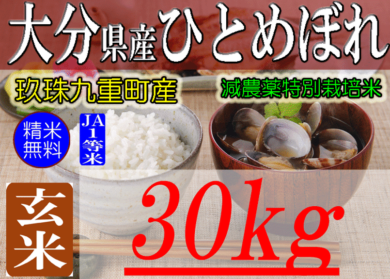 大分県玖珠九重産ひとめぼれ/玄米/30kg/令和4年産/JA1等米 /減農薬/特別栽培米/棚田... 大分県玖珠九重産ひとめぼれ/玄米/30kg/令和4年産/JA1等米 /減農薬/特別栽培米/棚田...