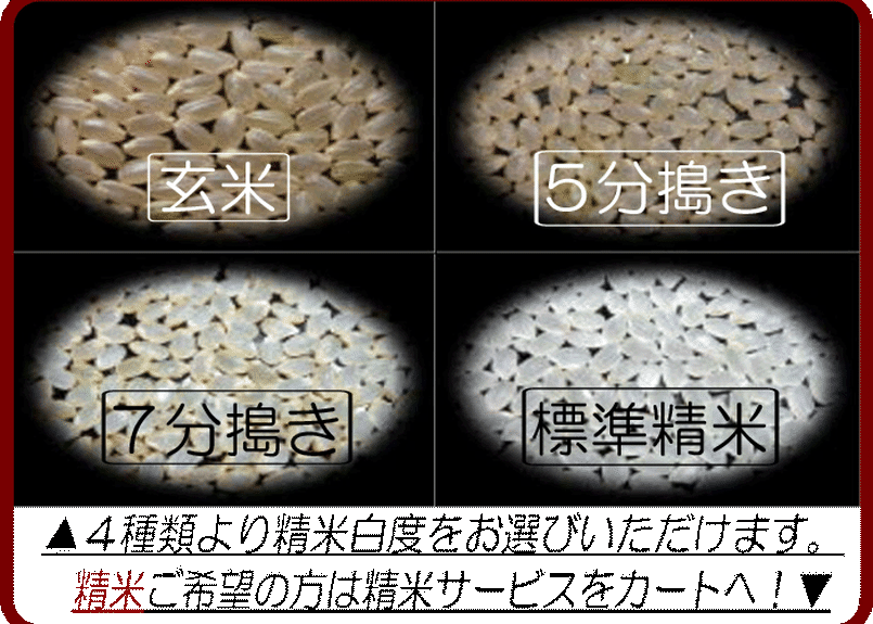大分県玖珠九重産ひとめぼれ/玄米/15kg/令和4年産/JA1等米 /減農薬 ...