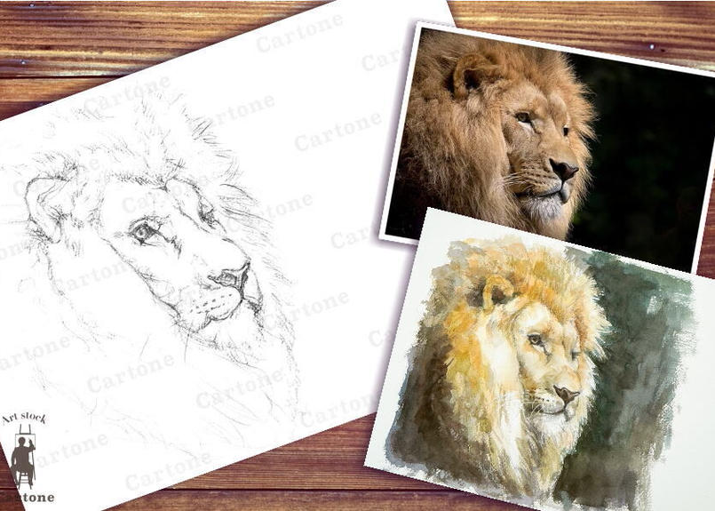 096b ライオン 着彩見本付き 下絵工房カルトーネ