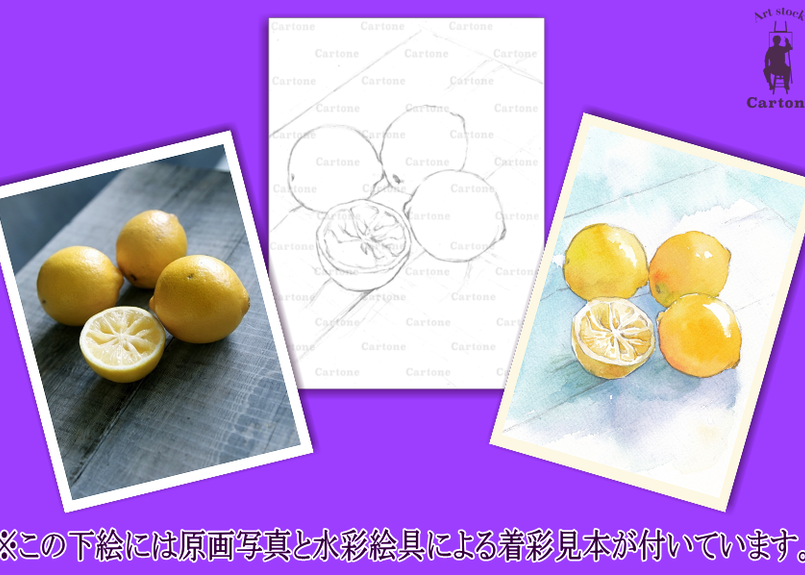 0d レモン 着彩見本付き 下絵工房カルトーネ