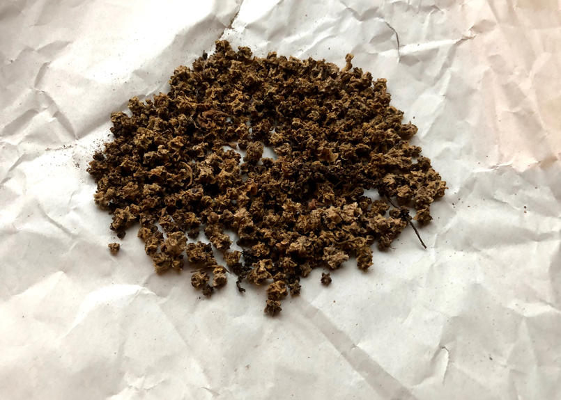 細長いビーツ シリンダーの種 約100粒 固定種 甘く洗練された味 北の樹木農園 から 細長いビーツ シリンダーの種 約100粒 固定種 甘く洗練された味 北の樹木農園 から