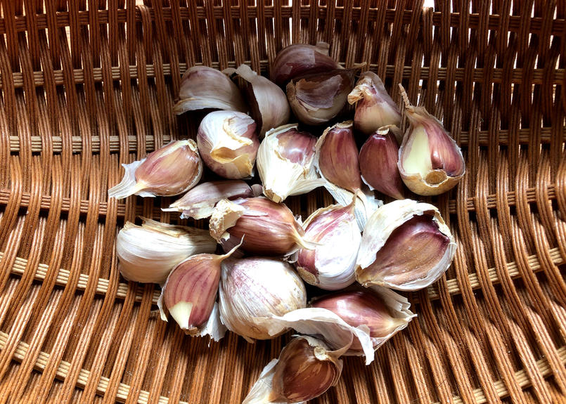 新ピンクにんにく Lmサイズ バラ100片 送料無料 北の樹木農園 からだにスッとしみこ