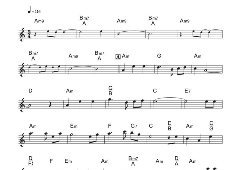 115 炎のたからもの メロディ譜3種 オマケ付き Duoduo 二重奏楽譜専門店