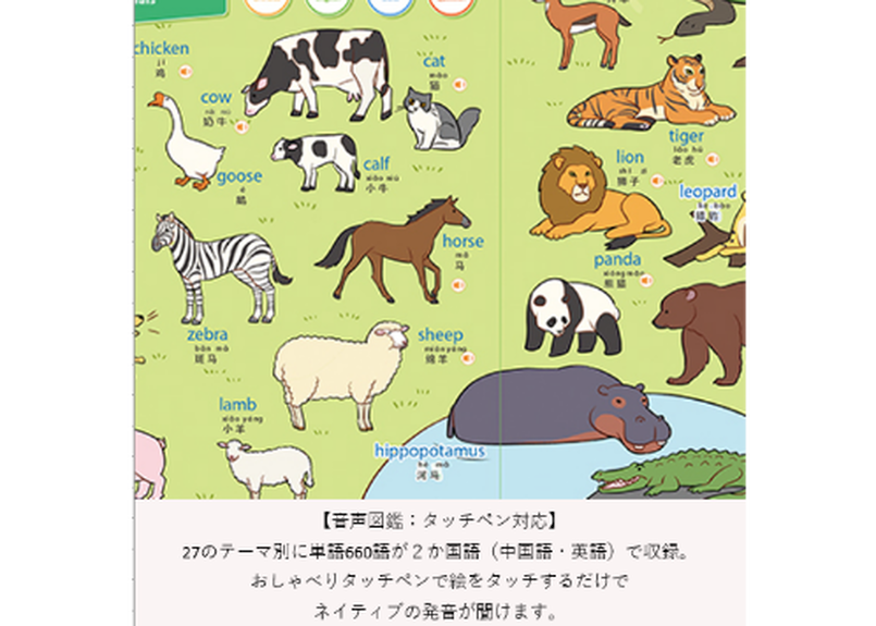 再入荷しました 赤ちゃん 幼児 子供 小学生用おすすめ中国語教材 趣威文化 第3世代