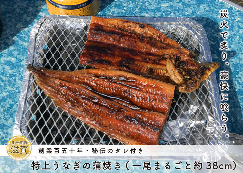 大人の贅沢キャンプ飯セット 特上うなぎの蒲焼き 特別栽培米コシヒカリ ごちそう産直 ご