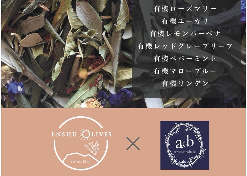 ミニパック オリーブリーフティー ミンティー グリーン ブレンド ティーバッグ2個入り