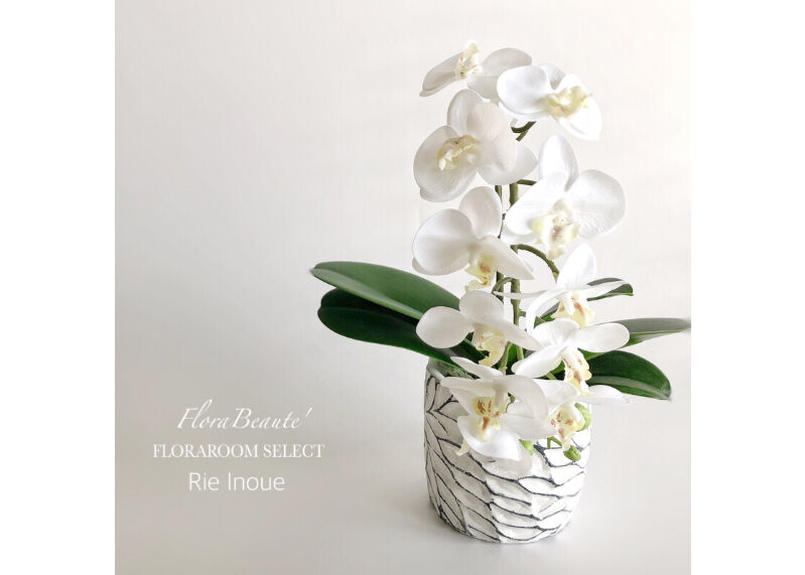 インテリアフラワーギフト 高級造花ミニ胡蝶蘭 Flora Beaute インテリアフラワーギフト 高級造花ミニ胡蝶蘭 Flora Beaute