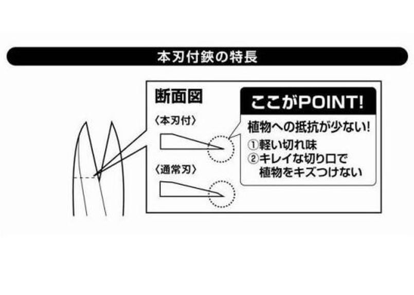 766円 最前線の 高儀 TAKAGI 本刃付ステンレスロングリーチ芽切小枝切鋏 190mm 766円 最前線の 高儀 TAKAGI 本刃付ステンレスロングリーチ芽切小枝切鋏 190mm